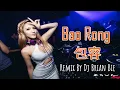 Bao Rong - 包容 (Electro Manyao) By Dj Brian Bie #dj抖音版2024 #remixmanyao #remixmandarinkaraoke