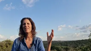 החיים חזקים מהכל להסיט את התודעה לכוון המיטיב 