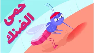 حمى الضنك الأعراض والعلاج والوقاية Dengue Fever 