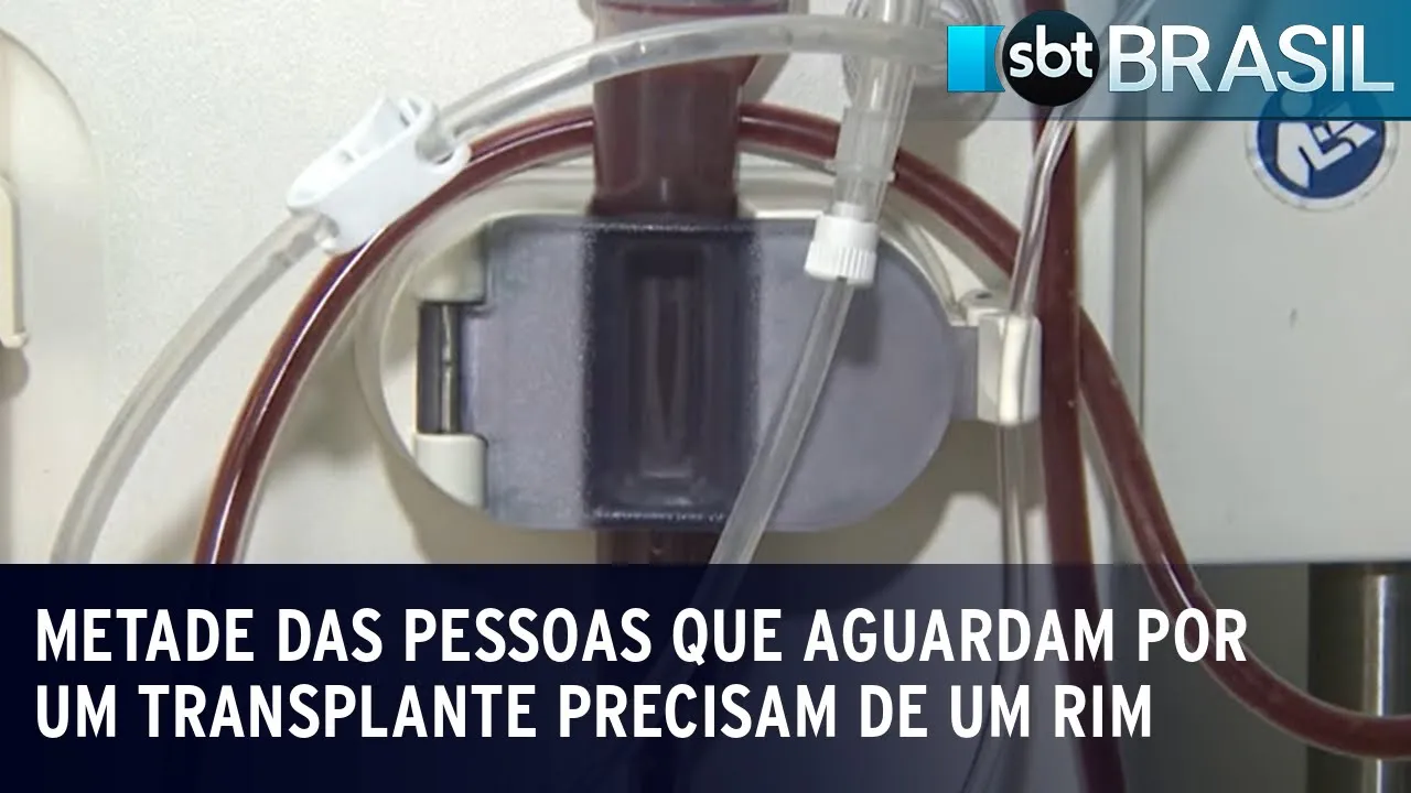 Mais de 37 mil pacientes aguardam por transplante de rim no Brasil | SBT Brasil (30/08/23)