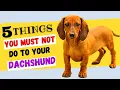 5 Things You Must NOT Do To Your Dachshund All DACHSHUND Owners Must Watch
