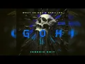 What So Not & Skrillex - GOH (feat. KLP) [JeneriK EDIT]