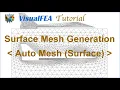 Surface Mesh Generation by Auto Mesh Surface function