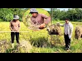 Download Lagu Hoi was very surprised when he accidentally met Hong in the rice field of police Luyen.