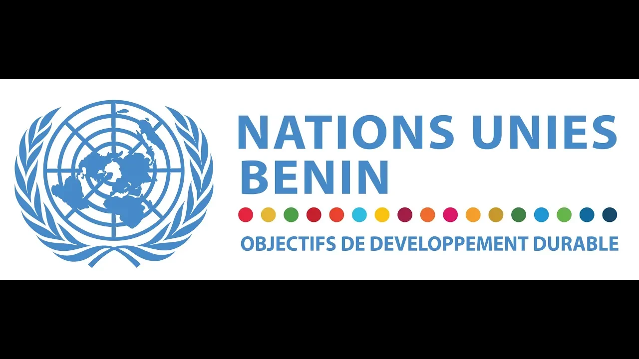 L'UNDAF 2014 -2018, LE SYSTÈME DES NATIONS UNIES A L' ŒUVRE AU BÉNIN