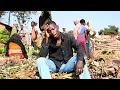 Lagu Bhushemeli -Maisha |official video
