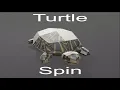Horizontally Spinning Turtle