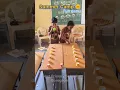 Summer camp Fun game Fun activities