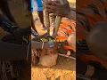 Download Lagu She become married ♀️ #tribalmarriage #shortvideio #short