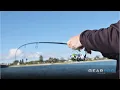 Download Lagu Gettin Nasci.. Is This The Best Budget Friendly Shimano Inshore Fishing Reel