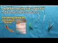 Download Lagu Rangkaian pancing nila 2 kail umpan lumut sederhana tapi paling ampuh