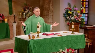 Sixteenth Sunday in Ordinary Time - July 19 2026