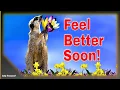 Get Well Soon Messages-Wishing You a Speedy Recovery - Feel Better Soon