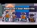The Ultimate Screen-Free Summer Project Meet your sillbird STEM 12-in-1 Solar Robots