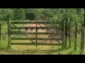 Download Lagu Meu endereço - Cézar \u0026 Paulinho