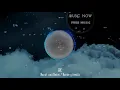 AK - Nacht und Nebel / Noche y niebla Radial Spectrum