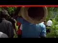 Download Lagu Cocote – ICA Cinema Trailer