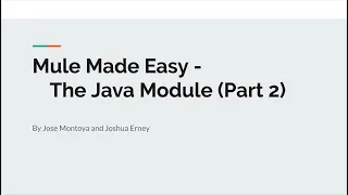 The Mule 4 Java Module Part 2