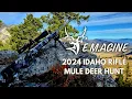 2024 Idaho Rifle Mule Deer Hunt