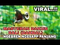Download Lagu MASTERAN PLECI DAKUN BALI (DAKBAL) NGEBREN NGESAPPP NYAMBUNG PANJANG