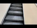 Riding Escalator JCPenney Store Eastwood Mall Niles Ohio August 17 2026