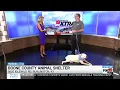 Find your next pet at Boone County Animal Shelter