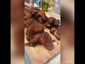 Smoked wings in MasterBuilt electric smoker