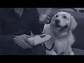На лінії вогню - Океан Ельзи
