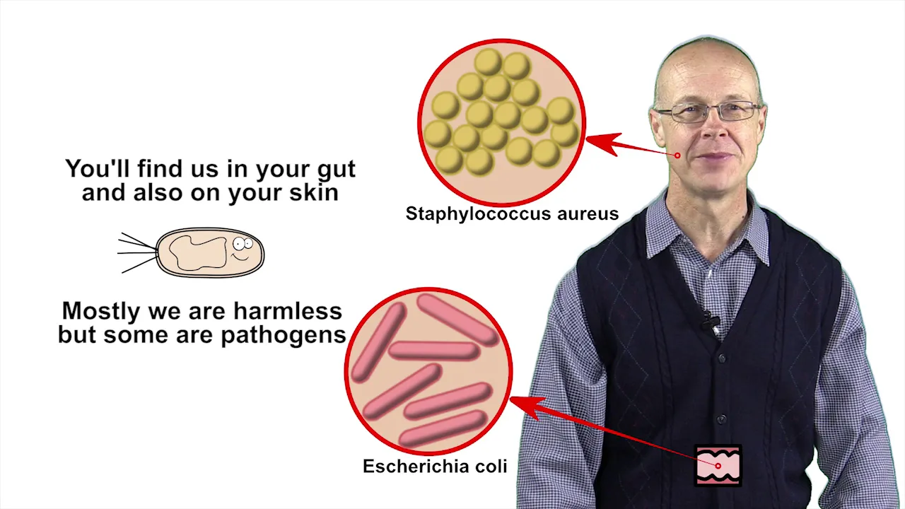 Bacteria Song by Peter Weatherall Bacteria Song by Peter Weatherall