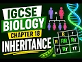 IGCSE BIOLOGY Chapter 18 INHERITANCE