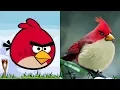 Download Lagu Angry Birds Characters In Real Life | All Characters 2017