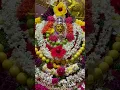 Lagu Jai Durga Maissamma Hydernagar #maissamma #hydernagar#bonalu2025 #viralshorts