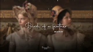 Billie Eilish BIRDS OF A FEATHER Slowed Reverb 