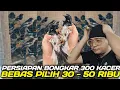 Lagu PRAMUKA MEMANAS KACER BAHAN DIJUAL 30 - 50 RIBUAN BEBAS PILIH HARI INI DIKIOS ALHAMDULILLAH HARI INI
