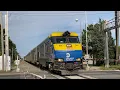 LIRR Montauk Branch Dual Modes Bypass And Stop At Mastic-Shirley Feat WB Cannonball