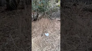 During our daily evening hike Melissa and I hate seeing trash and decided to rant about it. #trash