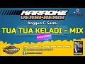 KARAOKE. TUA TUA KELADI  - VERSI REMIX - Anggun C. Sasmi / NADA CEWEK.