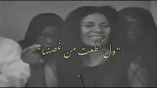 ورده سكيتها من دمع اليعون         حكيم محمد دندنها