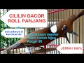 MASTER CILILIN GACOR FULL NEMBAK SUARA ALAMI BERJEDA SANGAT MUDAH DI TIRUKAN BURUNG