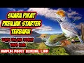 Download Lagu Suara pikat prenjak starter terbaru ampuh pikat segala burung liar z03