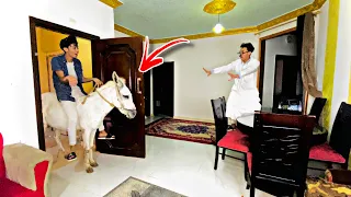 لما تشتري حمار علشان تجيب عليه طلبات البيت السلسيلي 