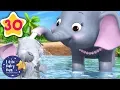 Download Lagu 5 Elephants Having A Wash | +30 Minutes of Nursery Rhymes | Learn With LBB | #howto