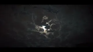   أصح اب  الع هد خ ان وا ي ا ه  تون     أناشيد إسلامية  حالات واتس اب دندنها