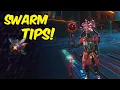 Swarm Expedition Tips No Man s Sky 2026
