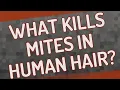 What kills mites in human hair