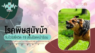 จำนวนผู้เสียชีวิตจากโรคพิษสุนัขบ้าลดลงหรือไม่ในช่วง 2 ปีที่ผ่านมา