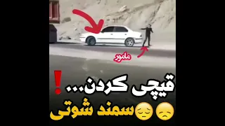 قیچی کردن شوتی توسط پلیس فرار شوتی ها فیلم شوتی پژو پارس شوتی شوتی Shorts 