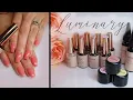 Luminary Nail Systems Review Application
