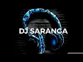 Download Lagu JIE BHAJAN ME RAM KA NAM DJ SARANGA RMX