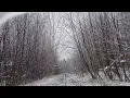 Elder Scrolls Music - Into Darkness